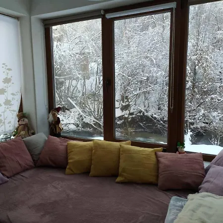Zeleni Svet 2 *