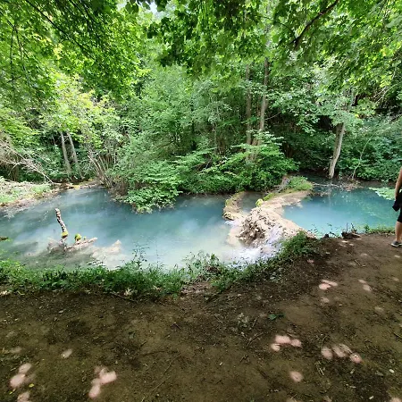 Zeleni Svet 2 Ferienhaus Crni Vrh