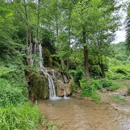 Zeleni Svet 2 Ferienhaus *