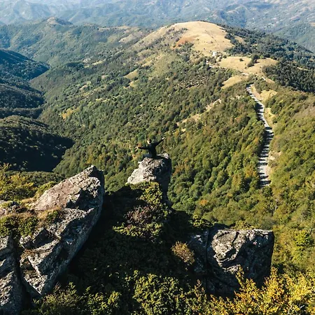 펜션 Zeleni Svet 2